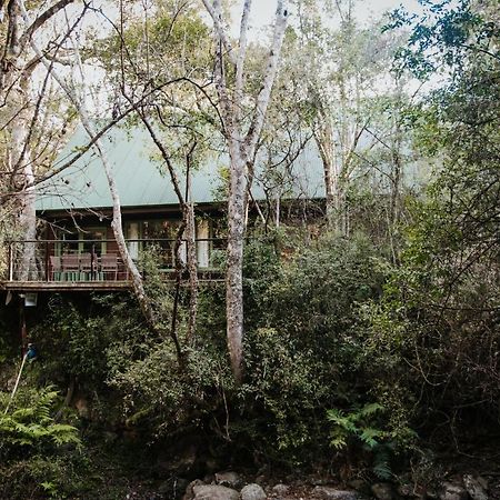 Rockwood Karkloof Forest Lodge & Mountain Cabin Karkloof Nature Reserve Екстер'єр фото
