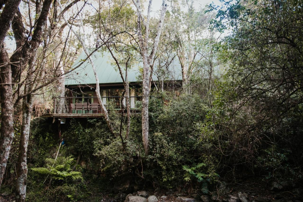 Rockwood Karkloof Forest Lodge & Mountain Cabin Karkloof Nature Reserve Екстер'єр фото