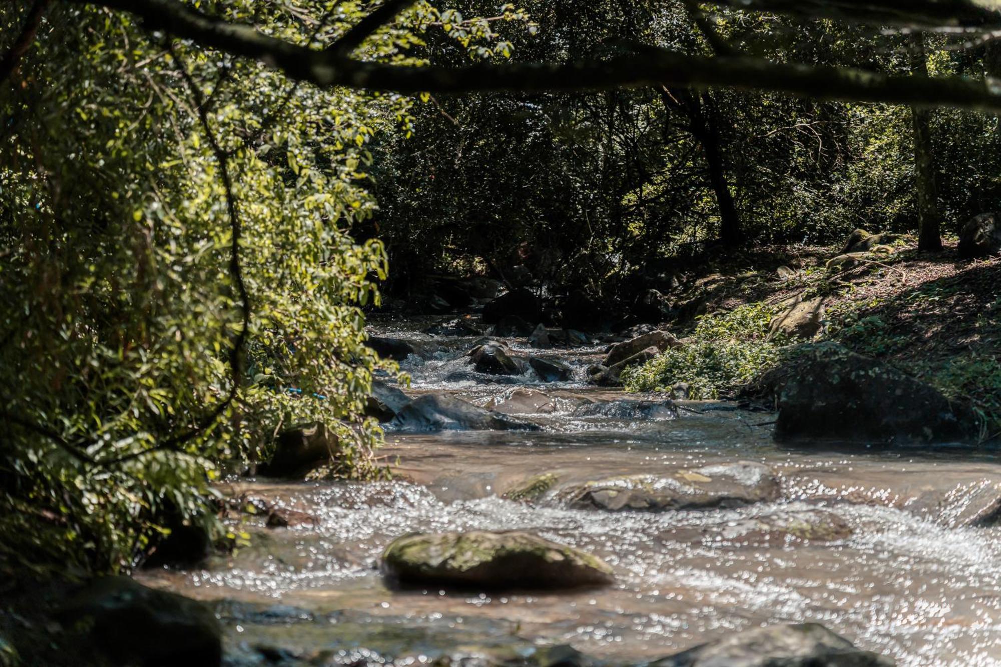 Rockwood Karkloof Forest Lodge & Mountain Cabin Karkloof Nature Reserve Екстер'єр фото